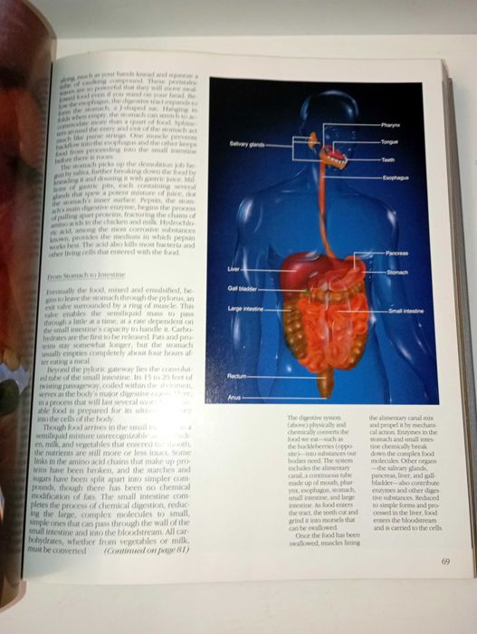 The Incredible Machine