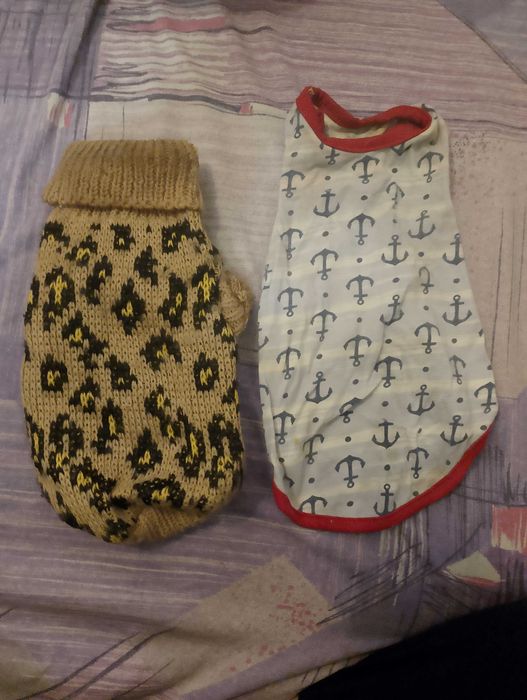 Светр і футболка для собак