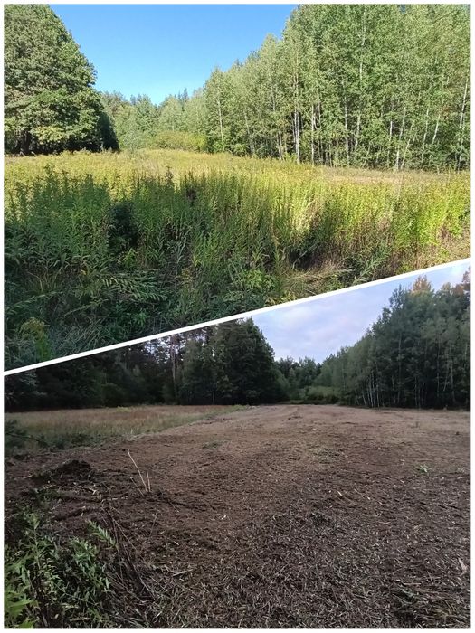 Koszenie nieużytków, wysokiej trawy, chwastów, usługi kosiarką bijakową