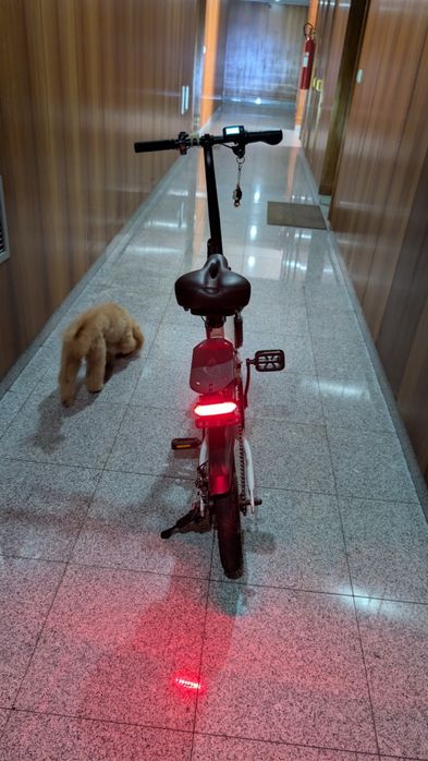 Bicicleta elétrica