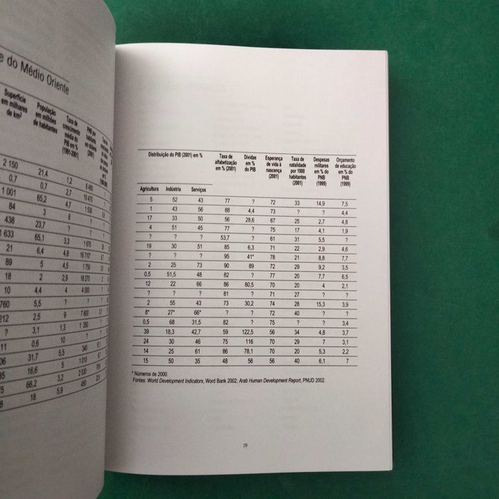 Dicionário Médio Oriente - Alain Gresh / Dominique Vidal