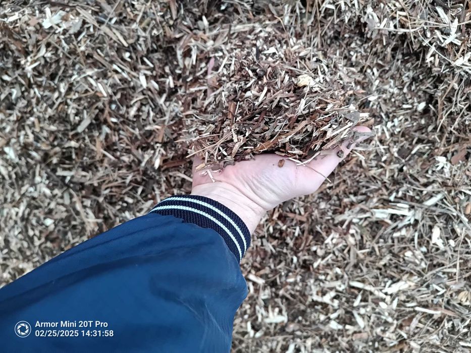 Zrębki, kora, trociny drzewne  suche, opał.