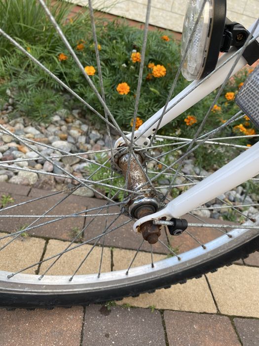 Rower dziewczecy Indiana rama s 24cale