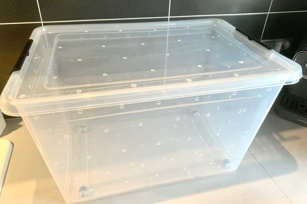 Komora owocowania 60 L z otworami, 10 sztuk