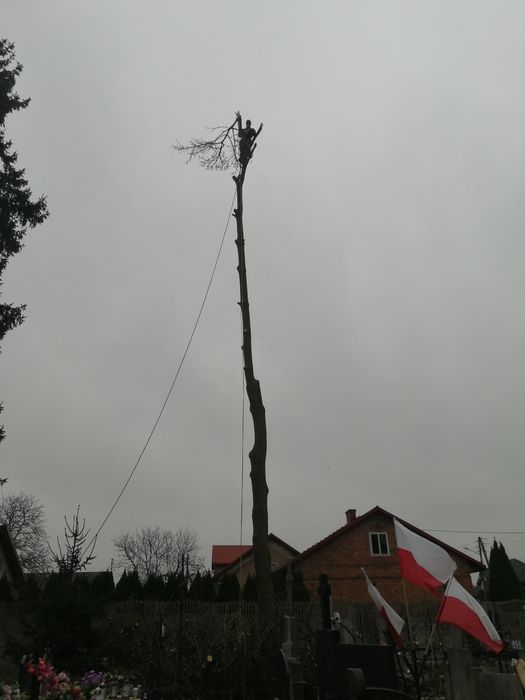 Wycinka drzew,usługi RĘBAKIEM, sprzątanie liści, kultywacja ogródka