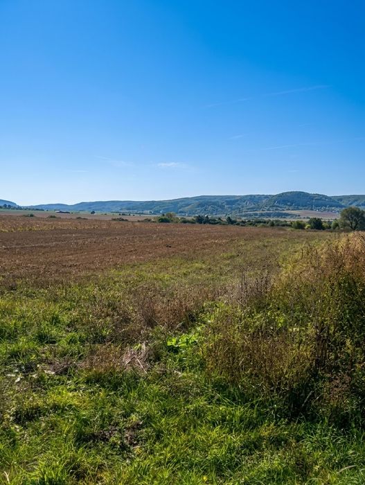 Продаж ділянки 30 соток (ОСГ) біля Львова