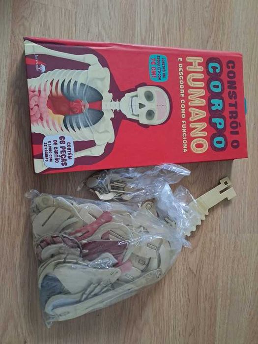 Livro corpo humano Guia Interativo + Esqueleto para montar