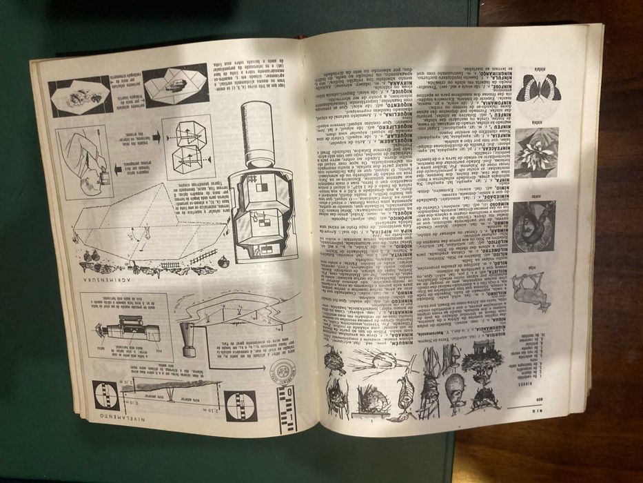 Dicionário Ilustrado Prático da Lello