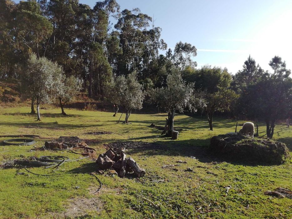 Quinta rústica bem localizada