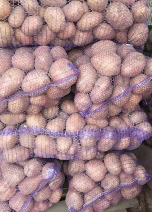 Продам картоплю.