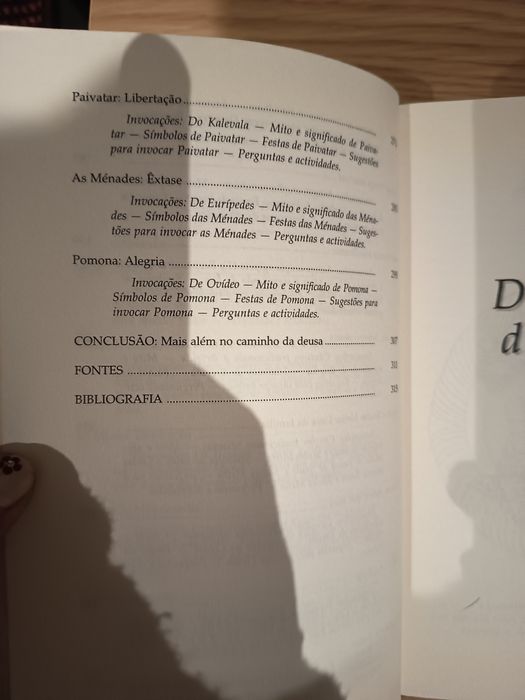 O caminho da Deusa - Patrícia Monaghan