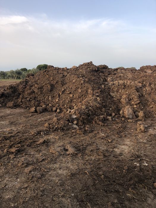 Estrume de ovinos e bovinos