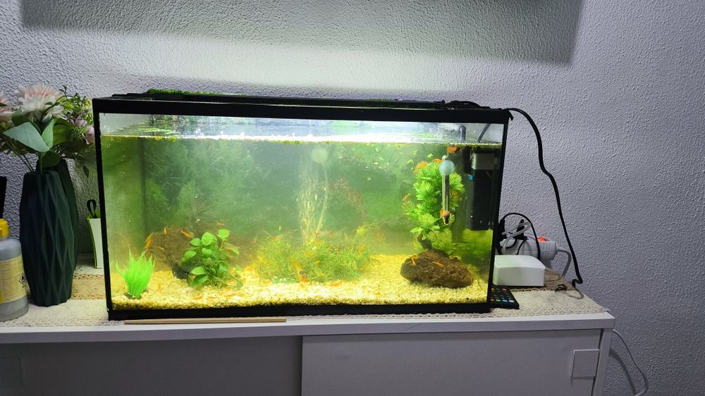 Vendo Aquário Completo