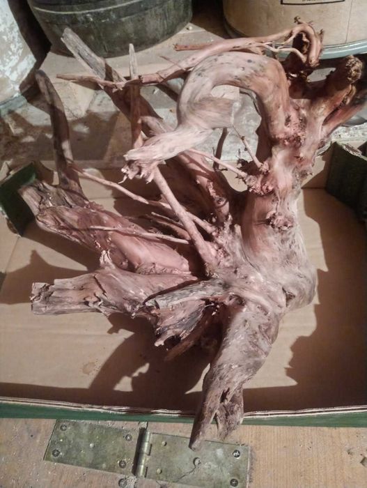 Korzenie do akwarium