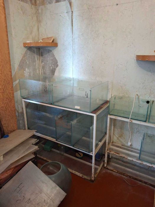 Акваріуми безкоштовно