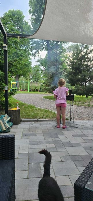 Будинок у лісі де тихо , затишно і безпечно