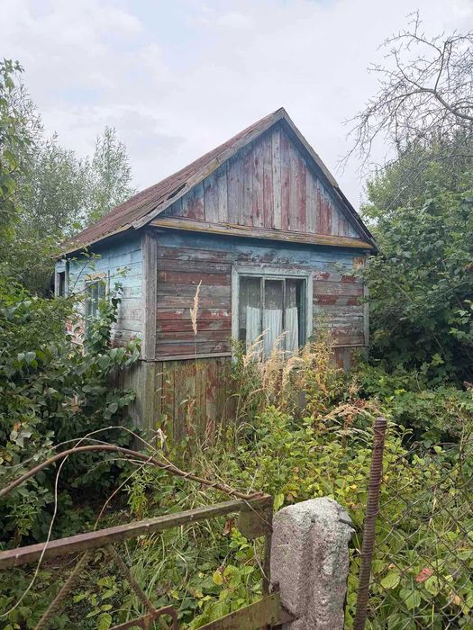 Ділянка в дачному масиві Дружба