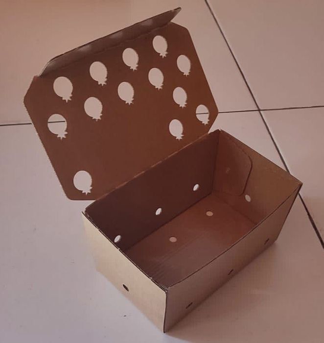 Cuvete de Cartão: Mantenha seus alimentos frescos e organizados!