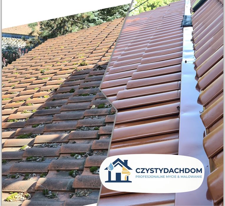 Mycie/Malowanie dachów, elewacji