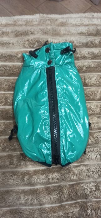 Одяг для чихуахуа