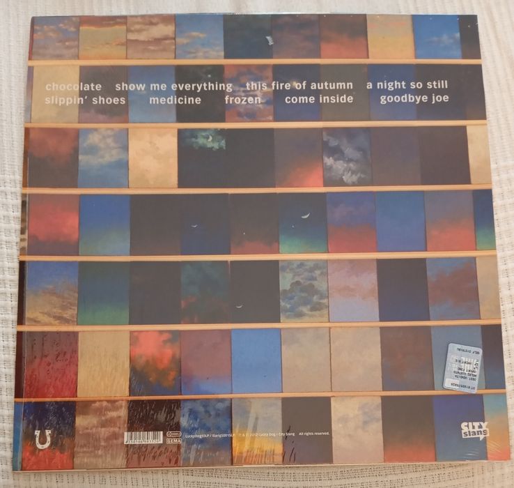 Disco Vinil Tindersticks - The something rain