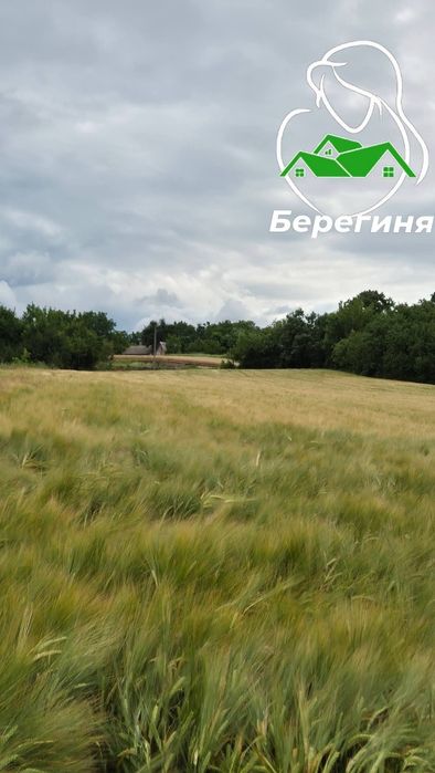 Продається земельна ділянка в с. Красюки Білоцерківського району Київська область