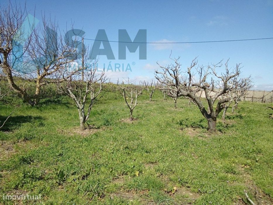 Terreno para construção, junto do Cadaval