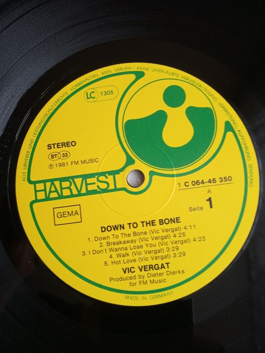 Vic Vergat-Down To The Bone-LP-winyl,vinyl