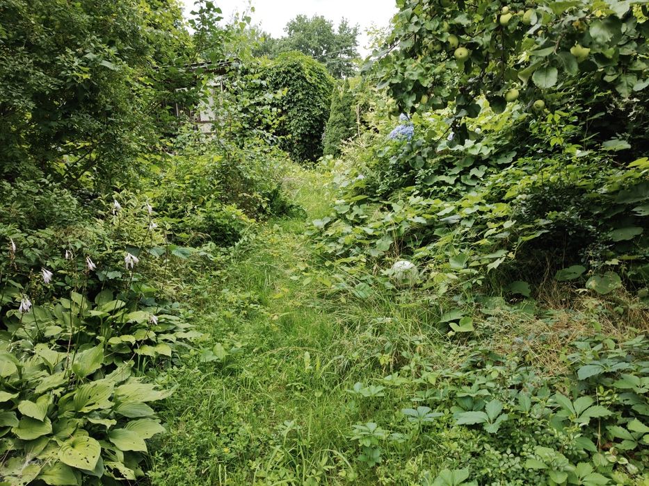 Ogródek działkowy