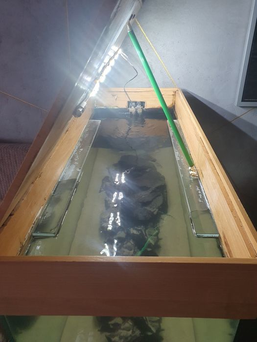 Akwarium malawi z pyszczakami 200l 100x40x40cm