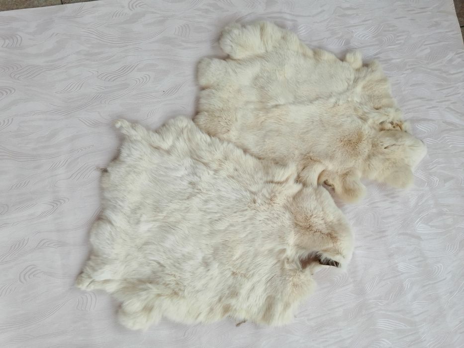 Шкуры кроля и песца