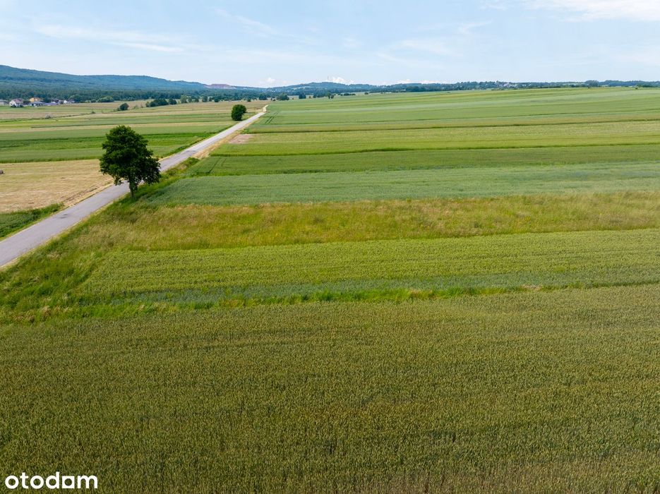 Działka - Wzdół Kolonia / Bodzentyn / 30km od Kielc - 6100m2