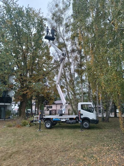 Czyszczenie działek , wycinka drzew,frezarka do pni