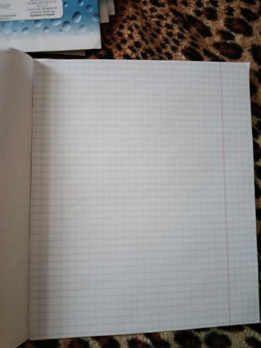 Папка +тетради школьные