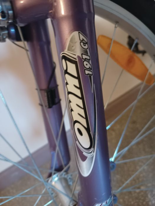 Rower trekkingowy Giant Sedona