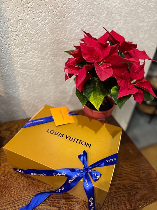 Коробка Louis Vuitton n2