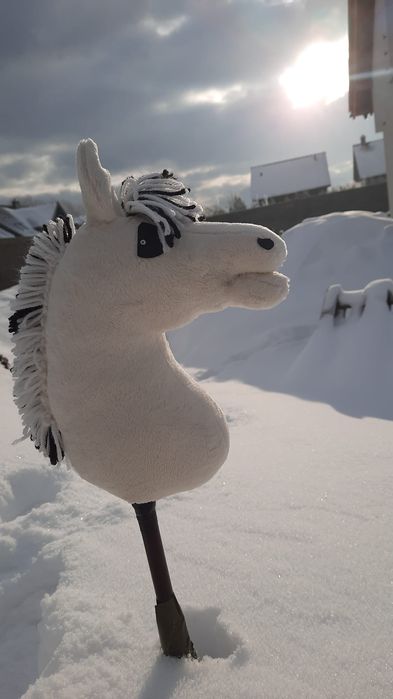 Hobby horse a4 okazja