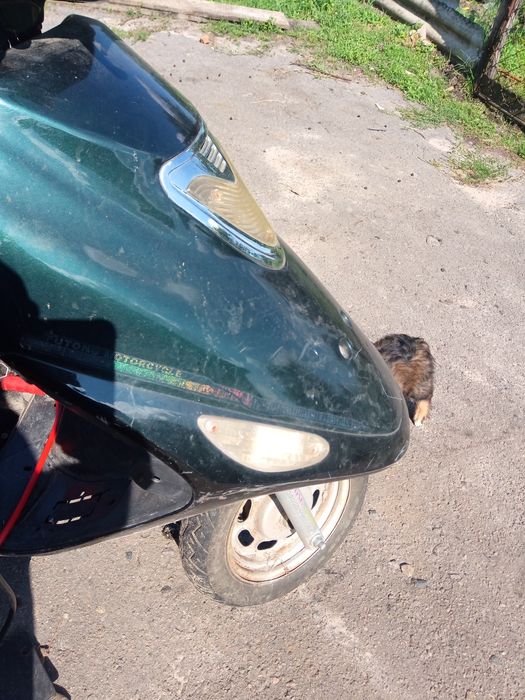 Скутер китайський