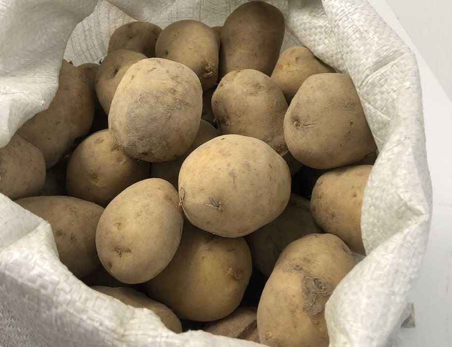 Przepyszne Ziemniaki Denar 20 Kg Warmia BIO Ekologiczne