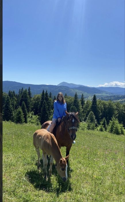 Кінні прогулянки | Ворохта