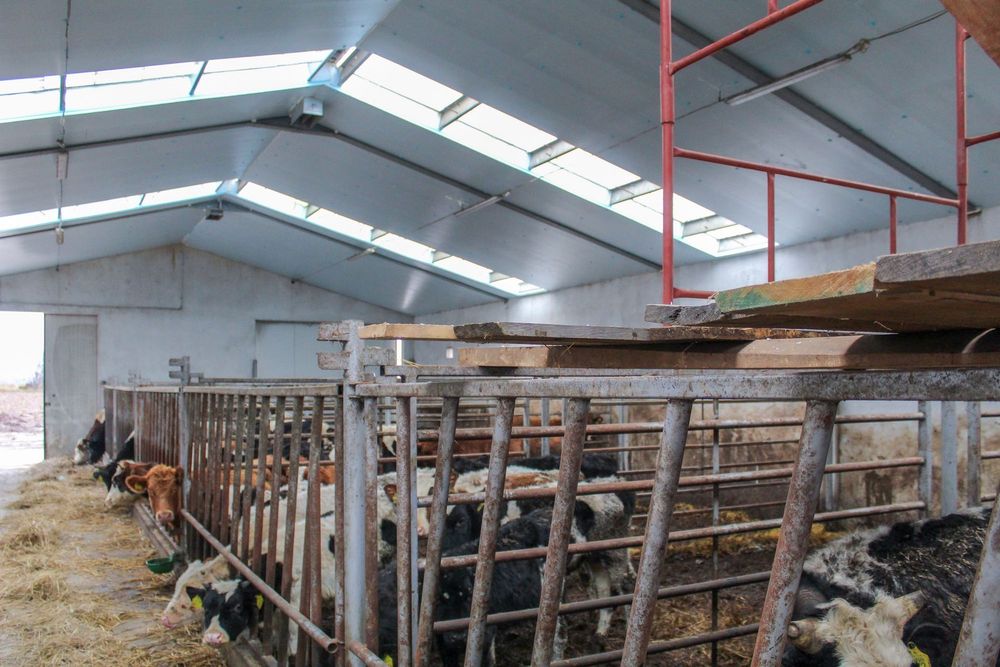 Izolacja Dachu Przybitka Garażu Obory Kurnika Płyty Styrodur XPS AGRO