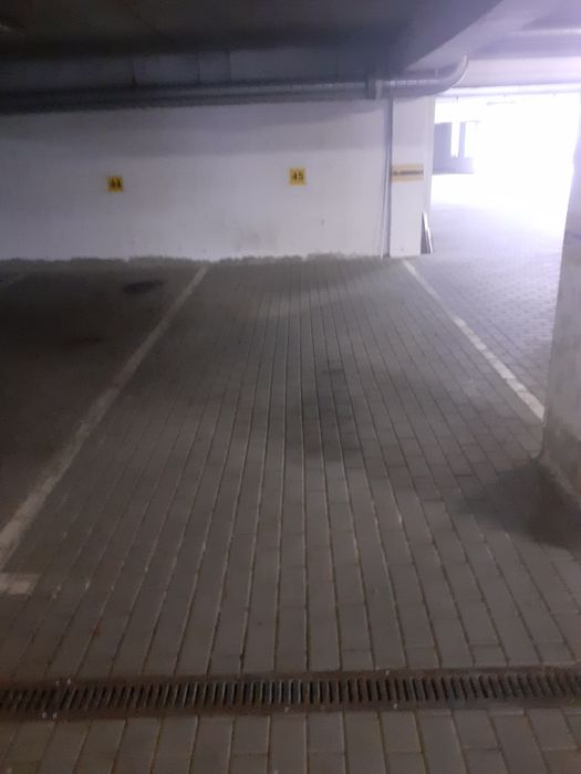 Miejsce parkingowe