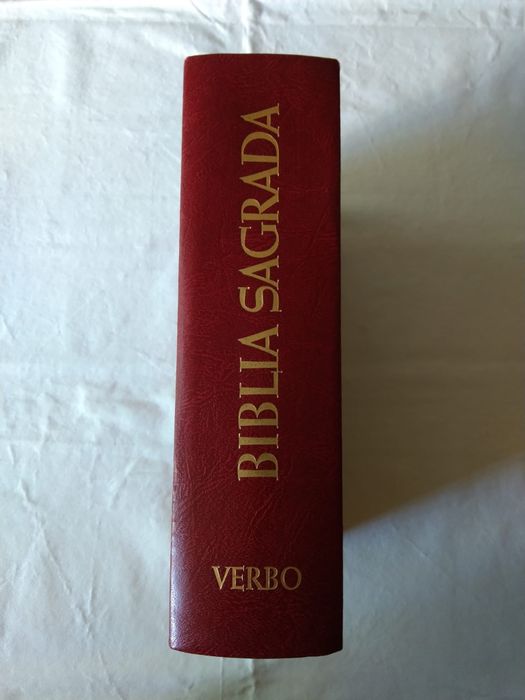 Religião. Bíblia Sagrada