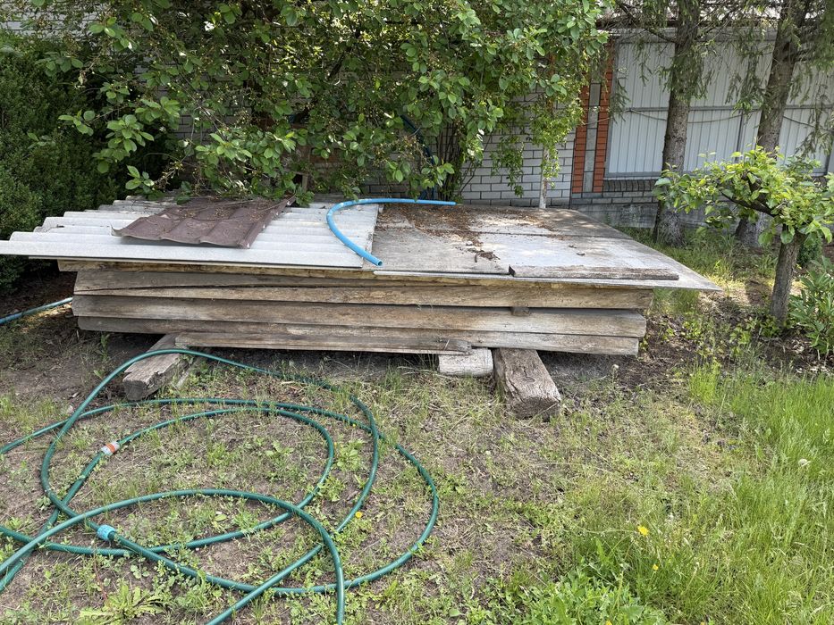 Продам дуб с сосной