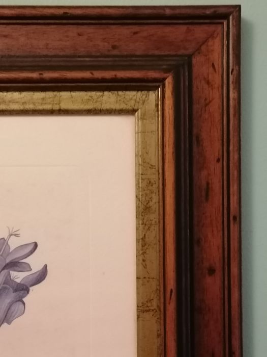 Quadro Cerejeira 73,5 x 59,5cm