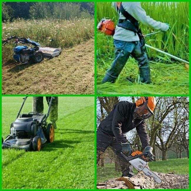 Usługi Ogrodnicze Koszenie Trawy Wycinka Drzew Pielegnacja Tui