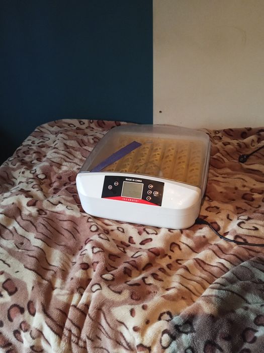 Inkubator na 56 jaj