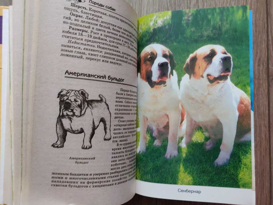 Собаки. Новая современная энциклопедия.