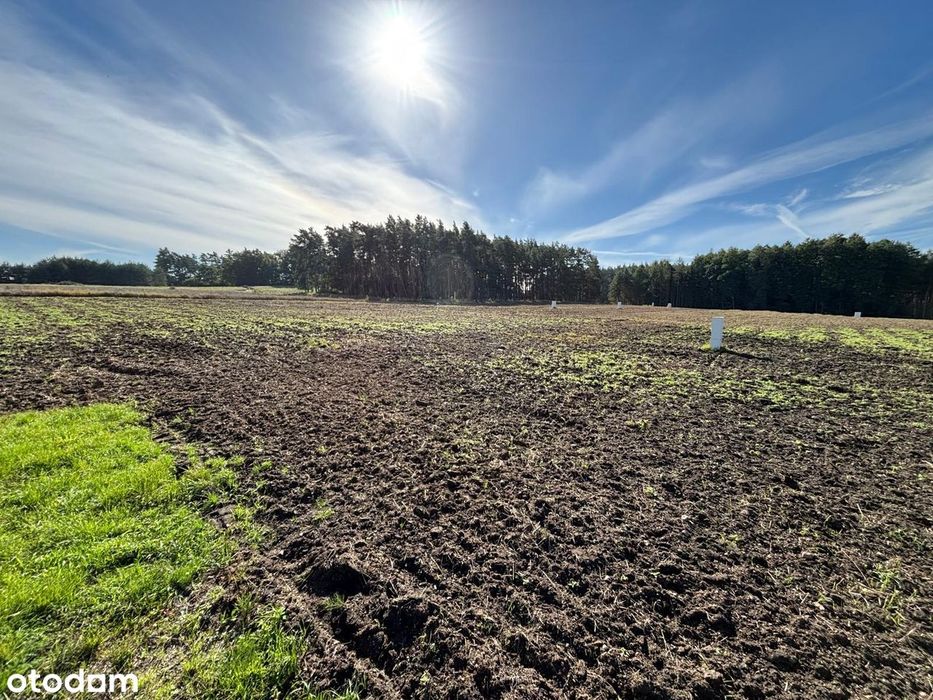 Działki budowlane w cichej wsi Golina w okolicy Wołowa
