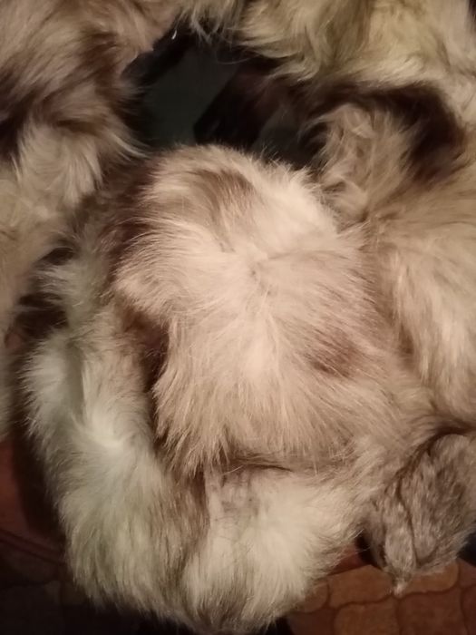 Komplet z lisa z lat 70 PRL